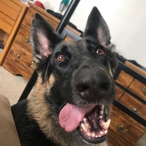 Meet your Posher, Chris